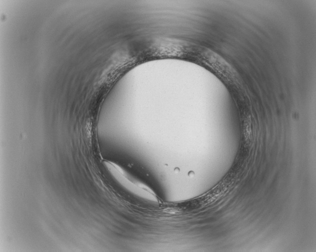 X0000058120551200510212023