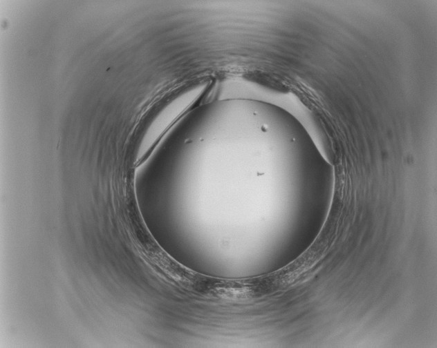 X0000058120552200510212023