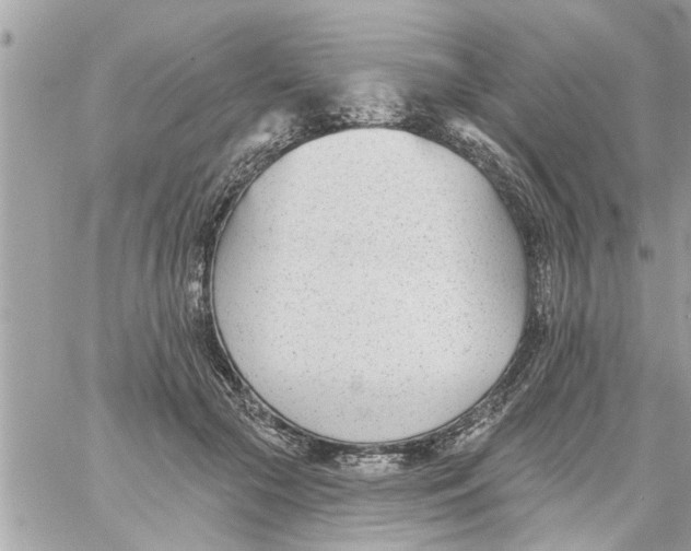 X0000058120553200510212023