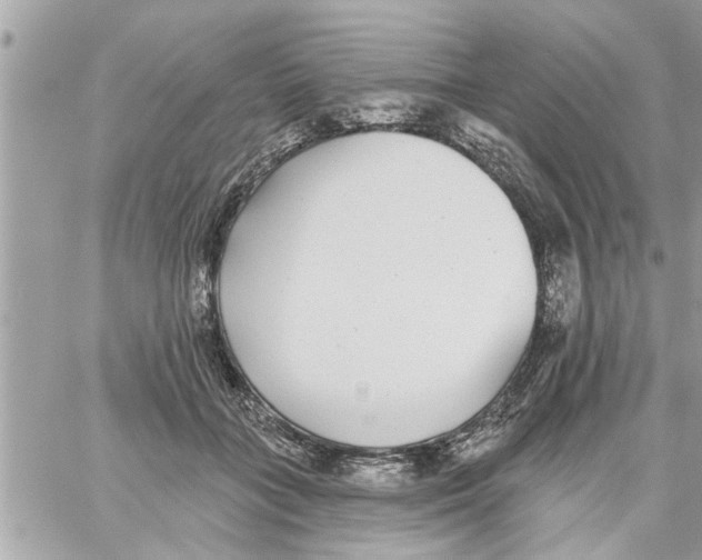 X0000058120555200510212023