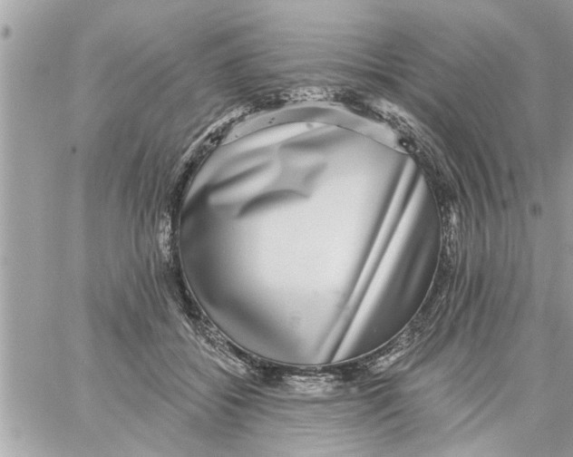 X0000058120556200510212023