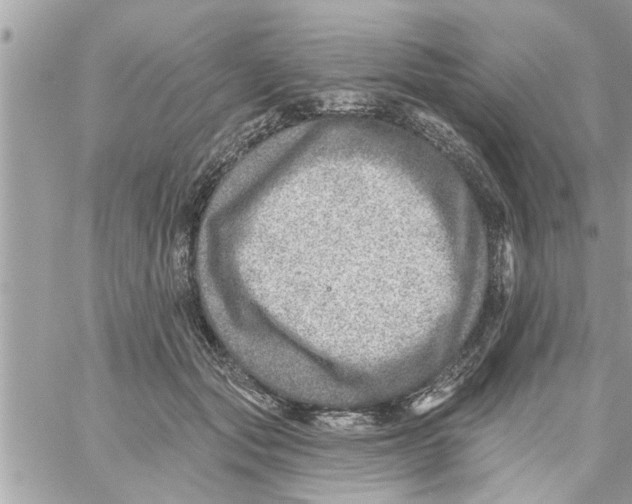 X0000058120557200510212023