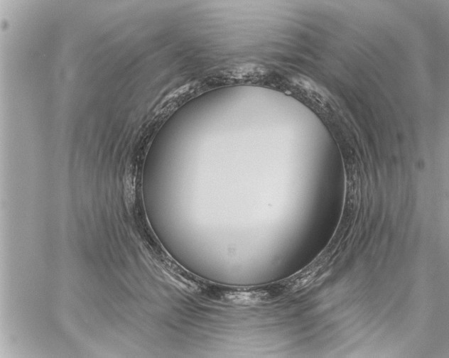 X0000058120558200510212023