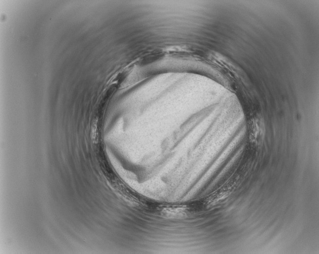 X0000058120560200510212023