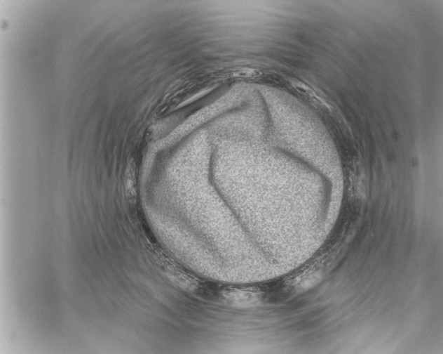 X0000058120561200510212023