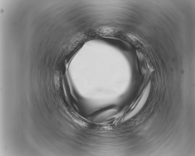 X0000058120562200510212023