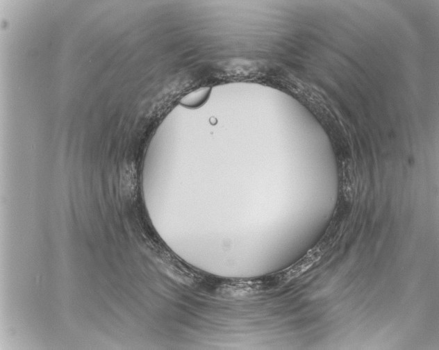 X0000058120563200510212023