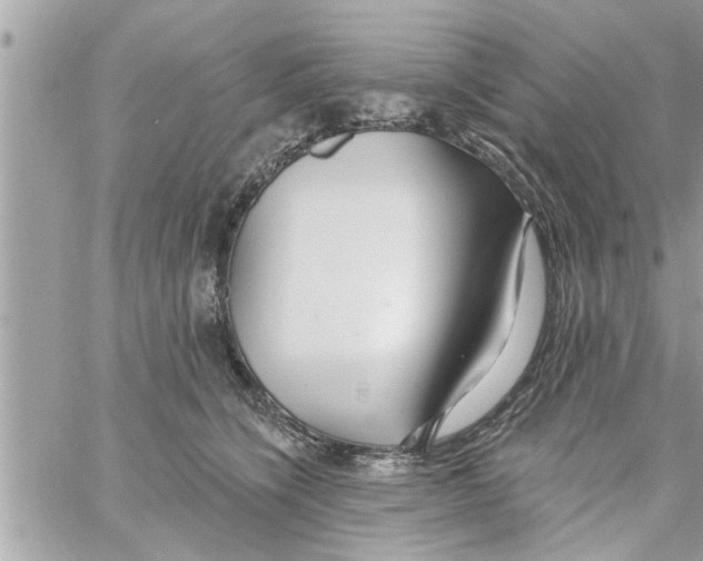 X0000058120564200510212023