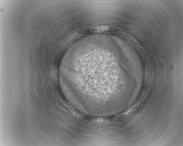 X0000058120565200510212023