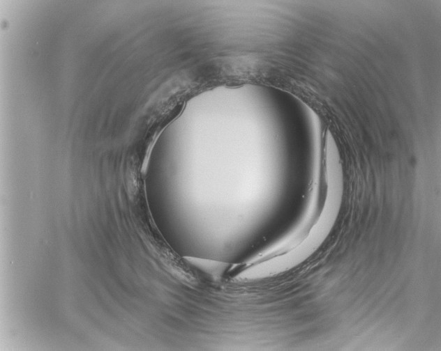 X0000058120566200510212023