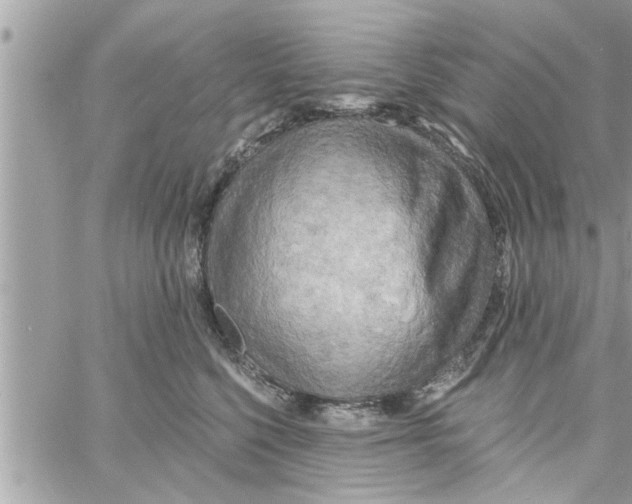 X0000058120568200510212023