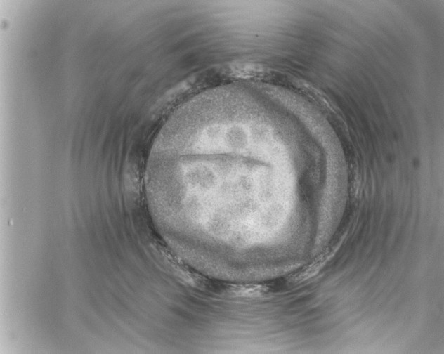 X0000058120569200510212023