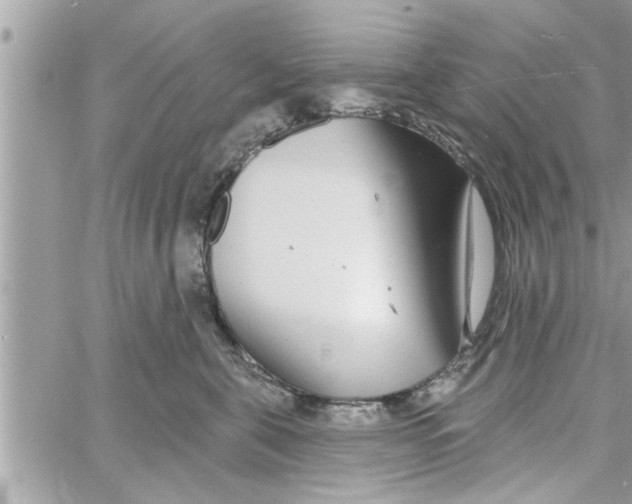 X0000058120571200510212023