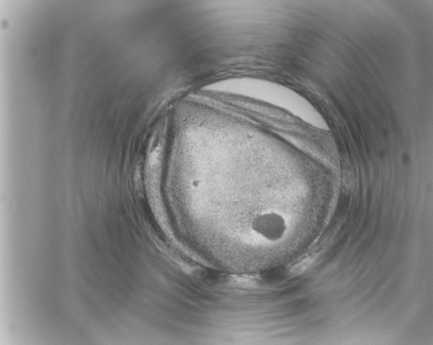 X0000058120573200510212023