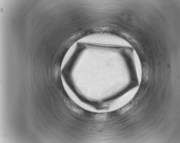 X0000058120574200510212023