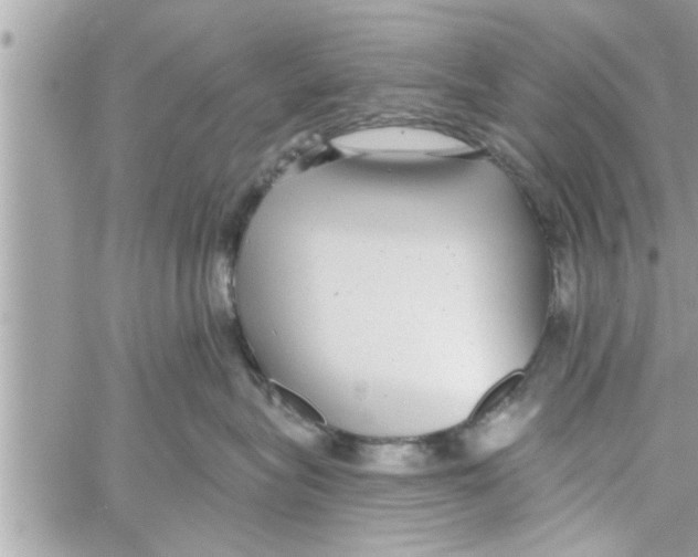 X0000058120575200510212023