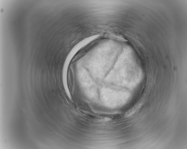 X0000058120576200510212023