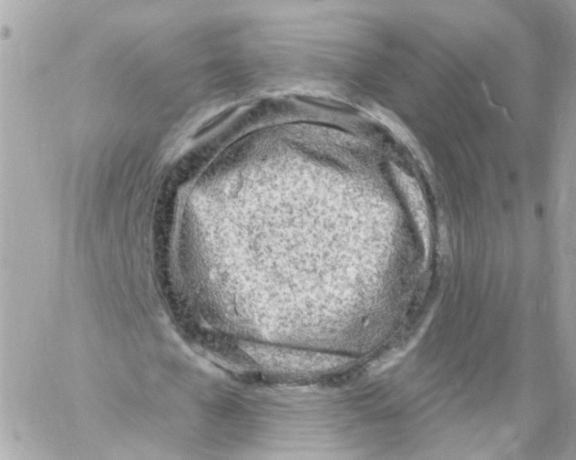 X0000058120577200510212023