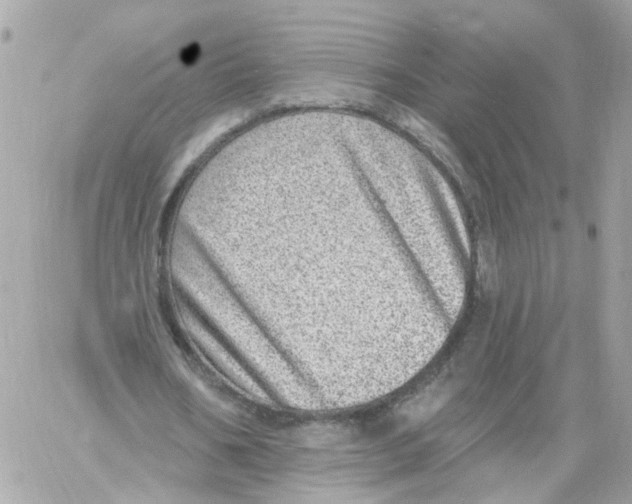 X0000058120578200510212023