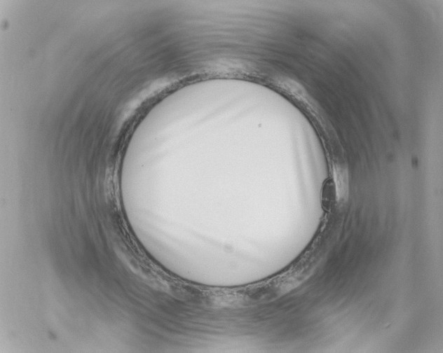 X0000058120579200510212023