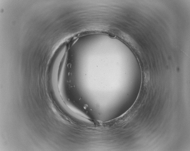 X0000058120580200510212023