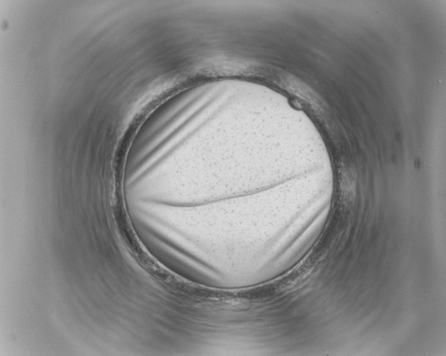 X0000058120582200510212022