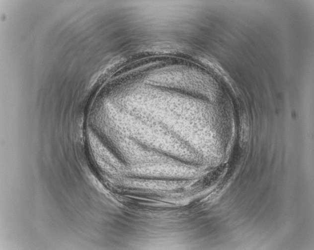 X0000058120585200510212022