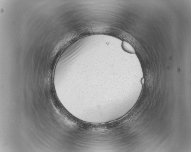 X0000058120586200510212022