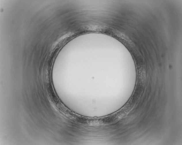 X0000058120587200510212022