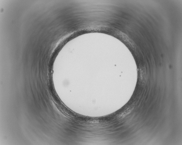 X0000058120588200510212022