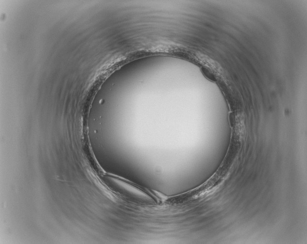 X0000058120589200510212022