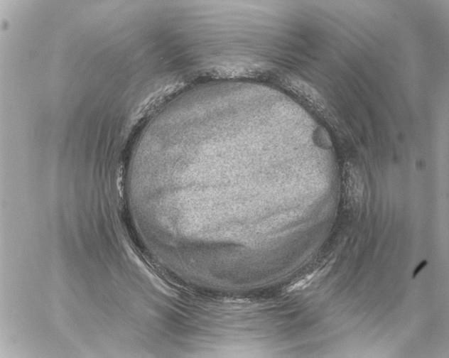 X0000058120590200510212022