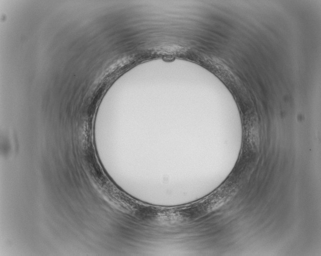 X0000058120591200510212022