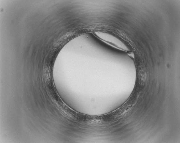 X0000058120593200510212022