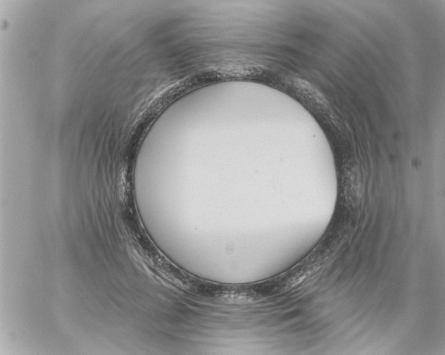 X0000058120596200510212022