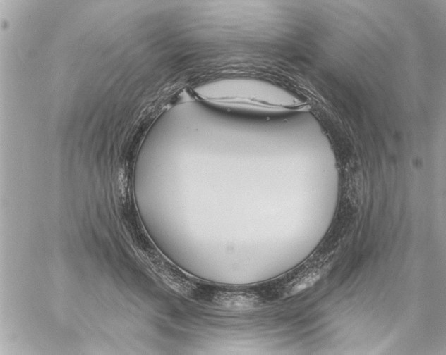 X0000058120597200510212022