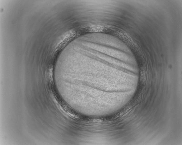 X0000058120598200510212022