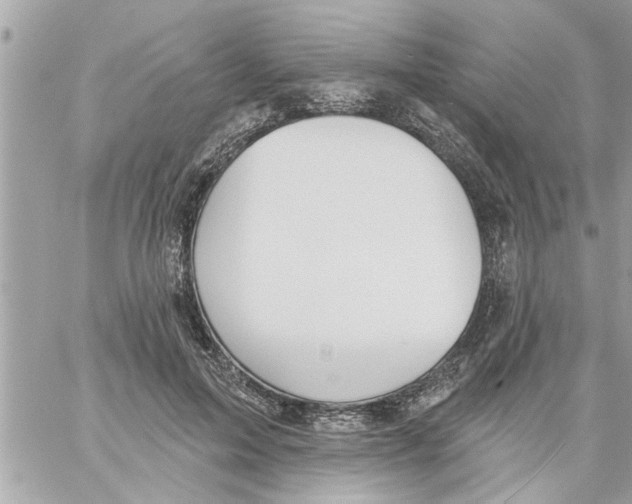 X0000058120599200510212022