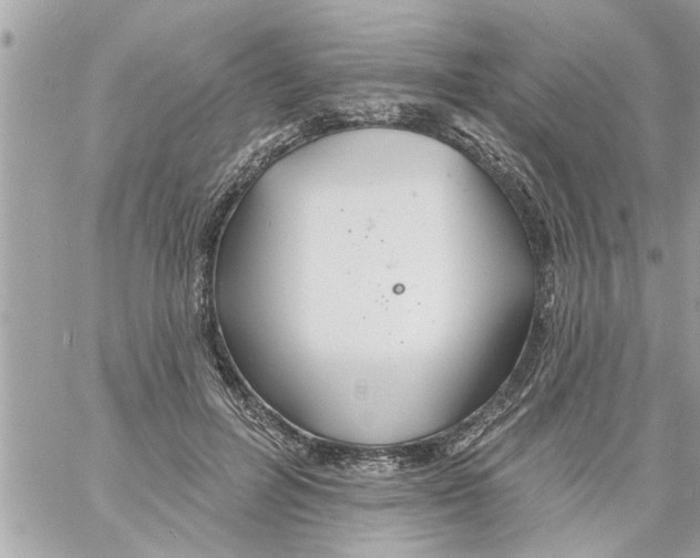 X0000058120600200510212022