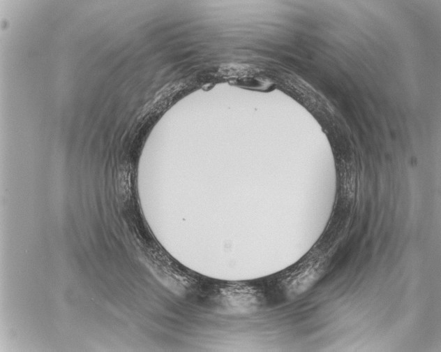 X0000058120603200510212022