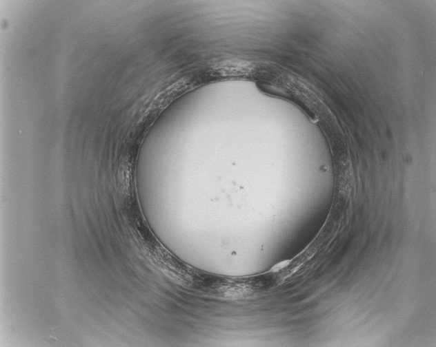 X0000058120604200510212022