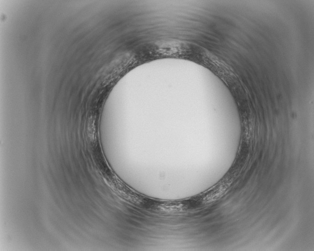 X0000058120606200510212022