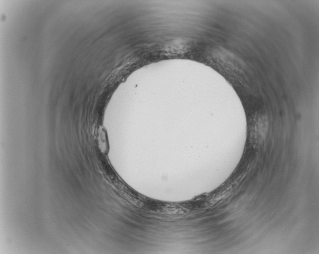 X0000058120608200510212022