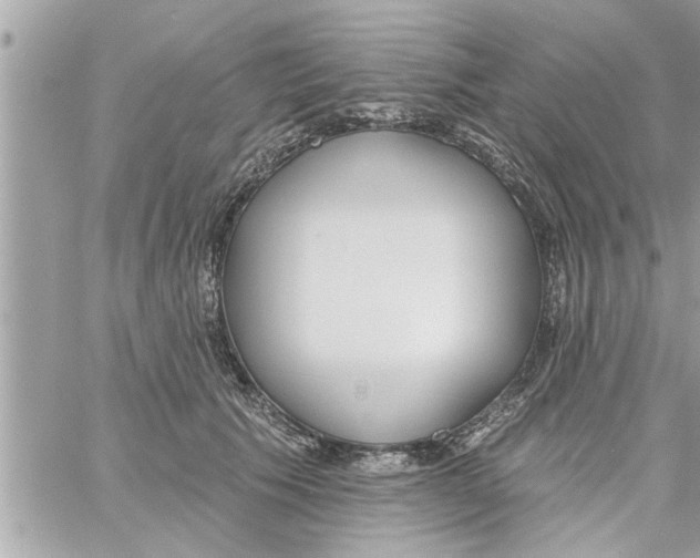 X0000058120609200510212022