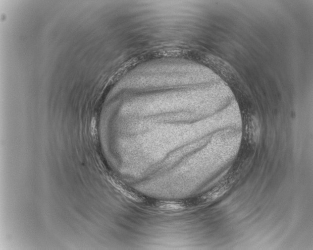 X0000058120610200510212022