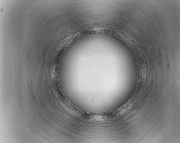 X0000058120611200510212022