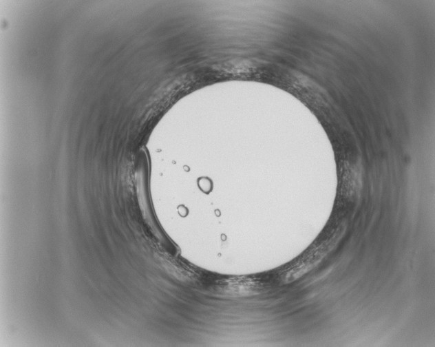 X0000058120612200510212022