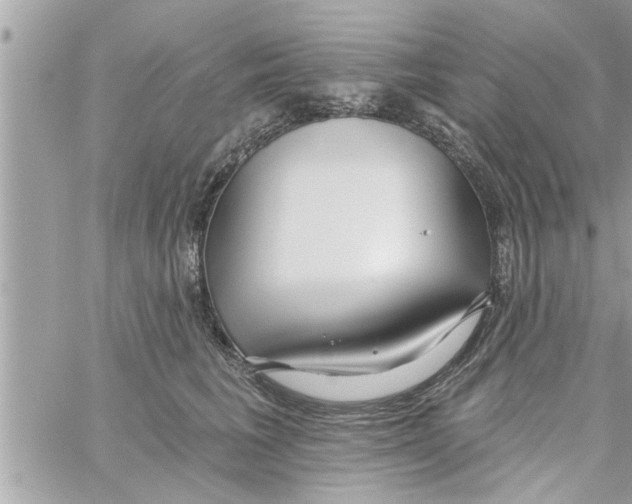 X0000058120613200510212022