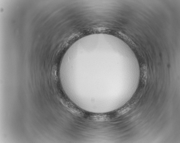 X0000058120615200510212022