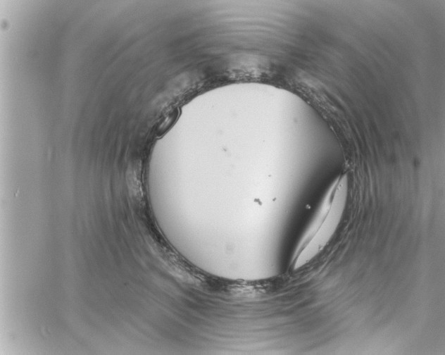 X0000058120616200510212022